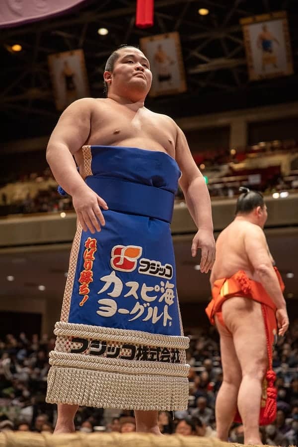 Sumo Rules